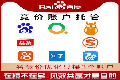 某某sem代运营公司助力企业实现线上营销目标